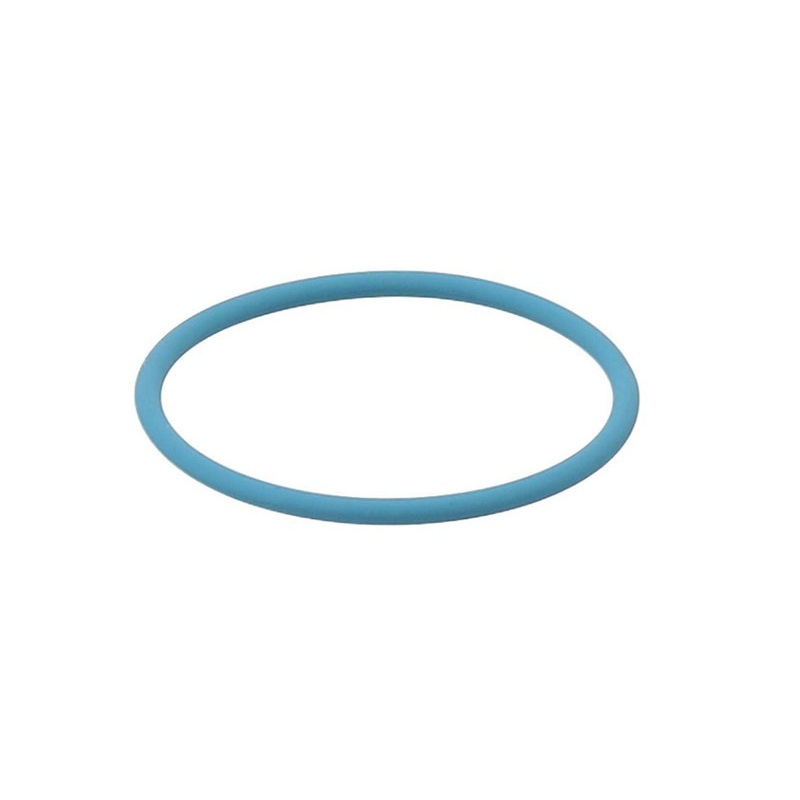 Porsche Fuel Pump O-Ring 31x2S – Boxster/Cayman/Cayenne/Panamera 20-23  PAF-008-476