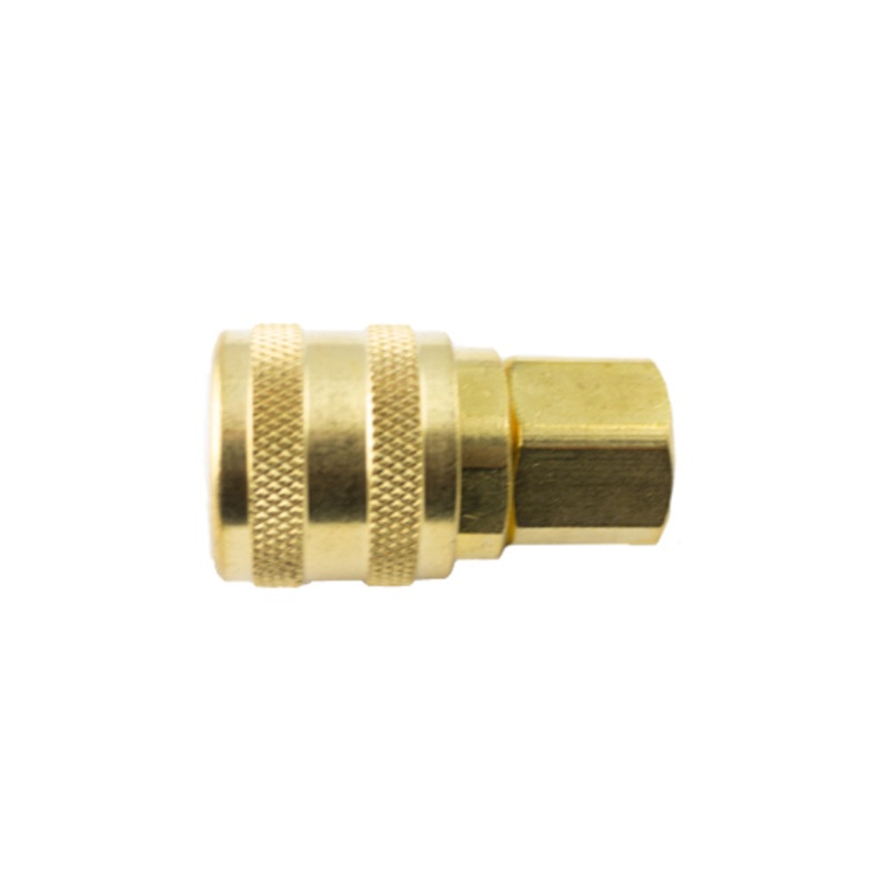 Aro Series Economy Female Air Coupler – 1/4 Inch Npt