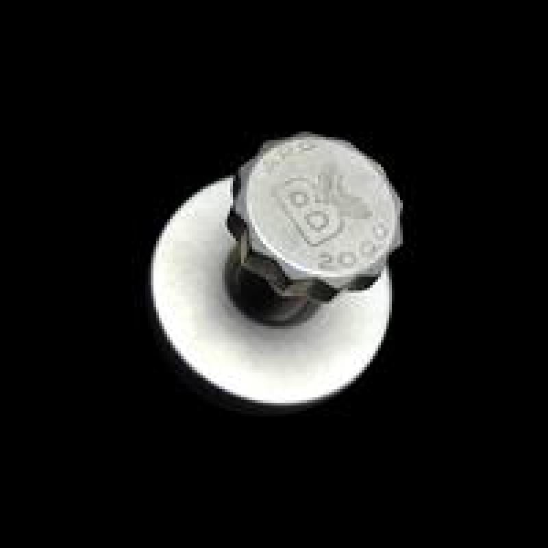 Brian Crower Cam Gear Bolt w/ Washer | 1993 – 1998 Toyota Supra (BC8890)
