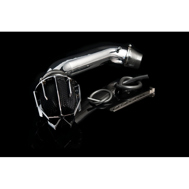 Weapon R Dragon Intake | 1994 – 2001 Acura Integra  (801-113-101)