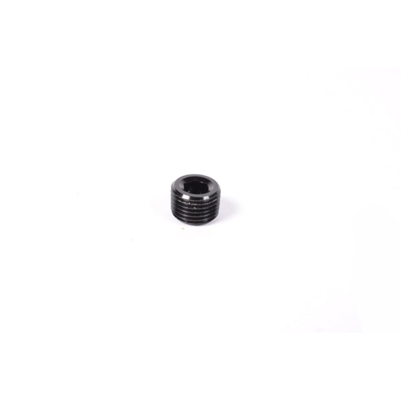 Radium Engineering 1/8In Npt Plug | Universal (14-0172)