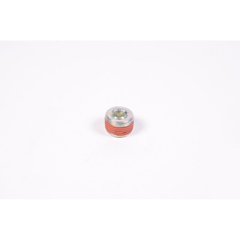 Radium Engineering 3/8In Npt Plug | Universal (14-0173)