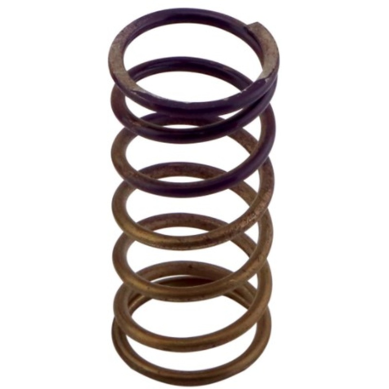 Turbosmart Gen-V WG60 5psi Purple Inner Spring | Universal (TS-0550-3090)