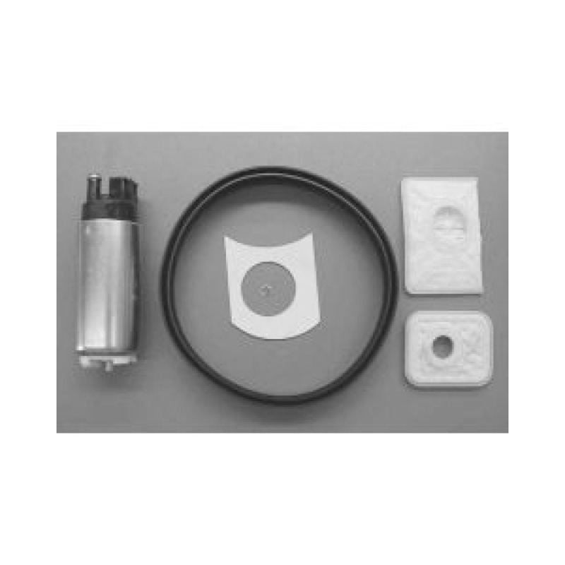 Walbro Fuel Pump/Filter Assembly | Universal (GCA741-1)