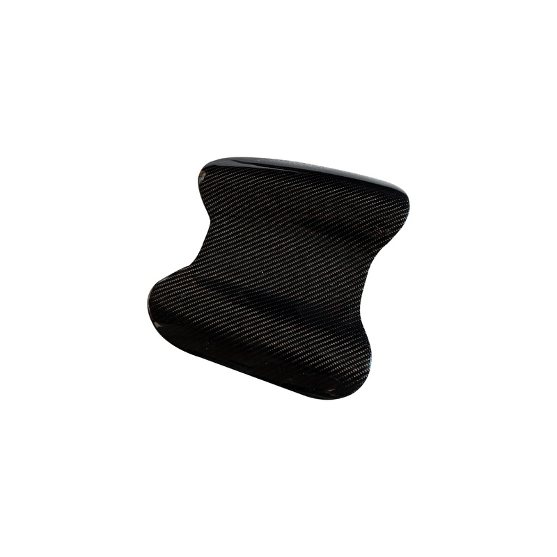 Rexpeed Carbon Crown Meter Cover | 2008 – 2015 Mitsubishi Evo X (R163)